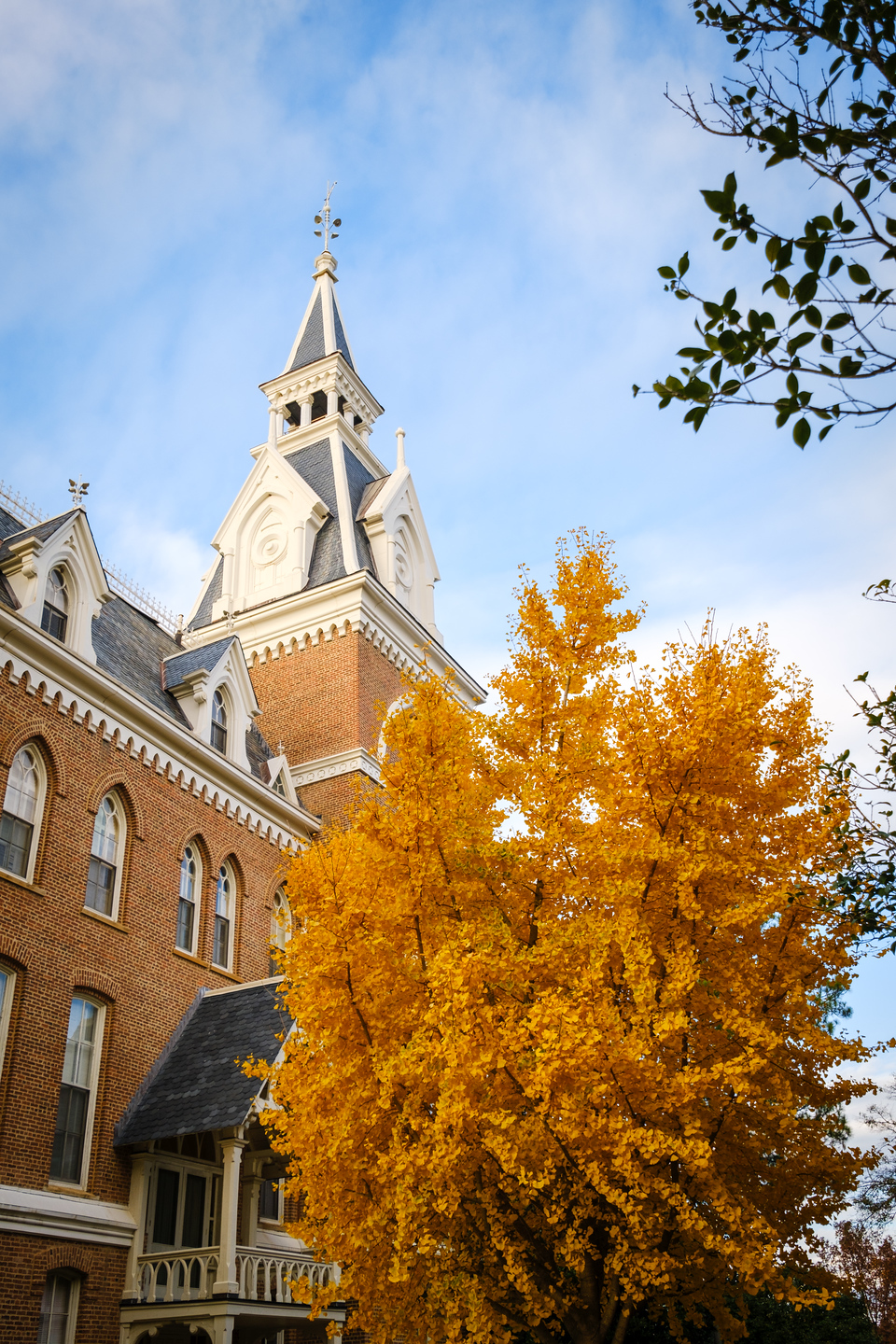 Admin building spire in the fall